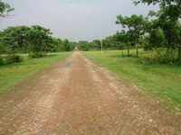 Slide thumbnail